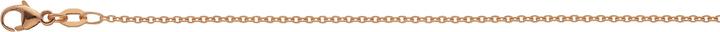 Actual product image Bijou Classic Collier Rundanker 42 cm (Gold)
