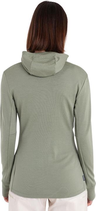 Actual product image Icebreaker Women's Merino 260 Quantum IV L/S Zip Hoodie (L)