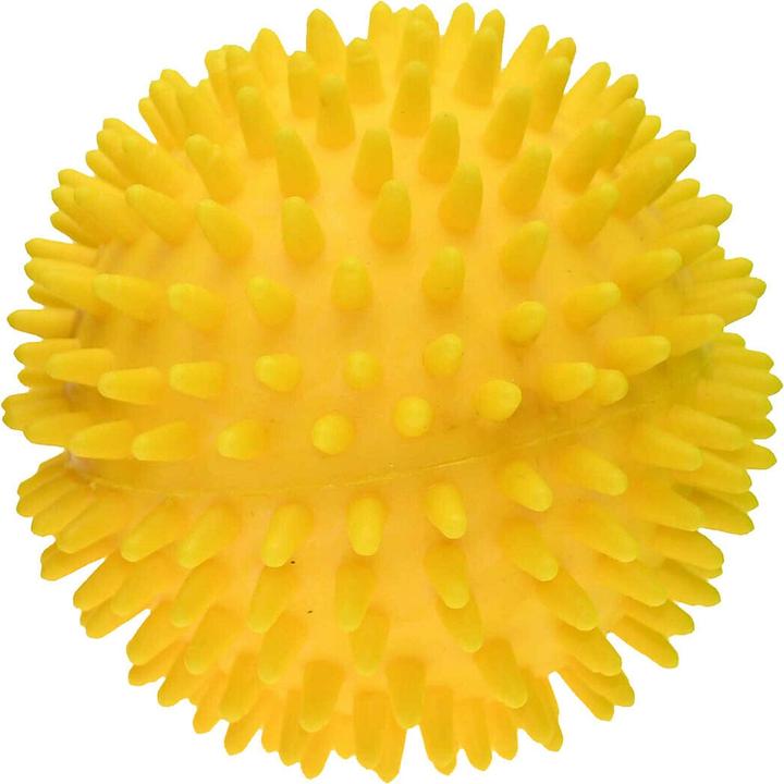 Produktbild Pre-Sport Ball Gestachelt