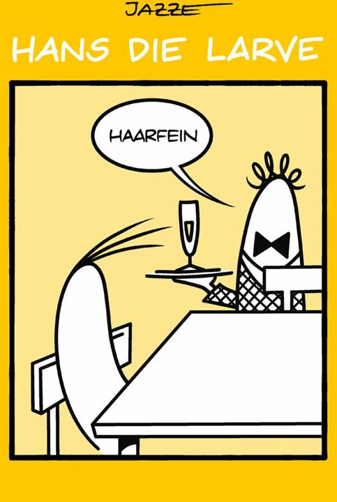 Produktbild Hans die Larve 4 (Deutsch, Robert Niederle, 2024)