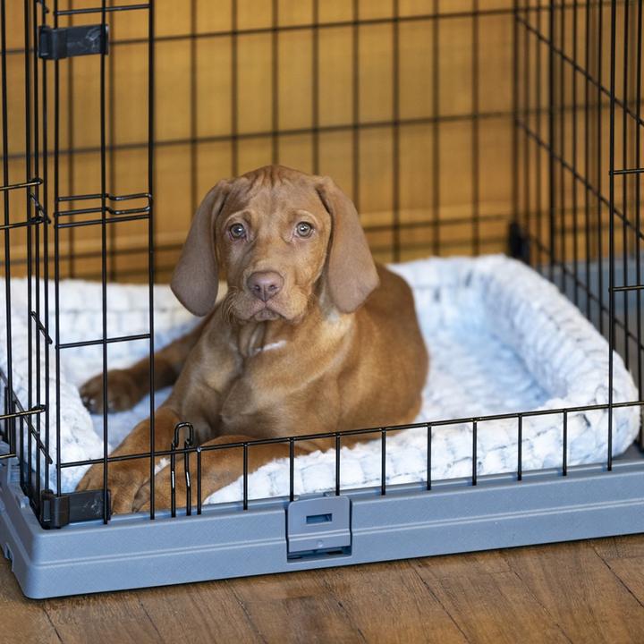 Produktbild Ferplast Haustierbox (Hund, Sicherheitsverschluss, Faltbar)