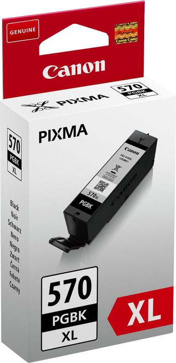 Actual product image Canon Pgi-570 (FC)