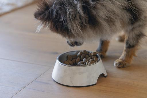 Immagine prodotto Designed by Lotte Ciotola per cani Meis (0.16 l)
