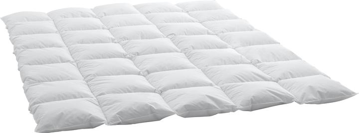 Immagine prodotto Swiss Dream by billerbeck CLC 90 Cassette Cosy (1060 g, 200 x 210 cm)