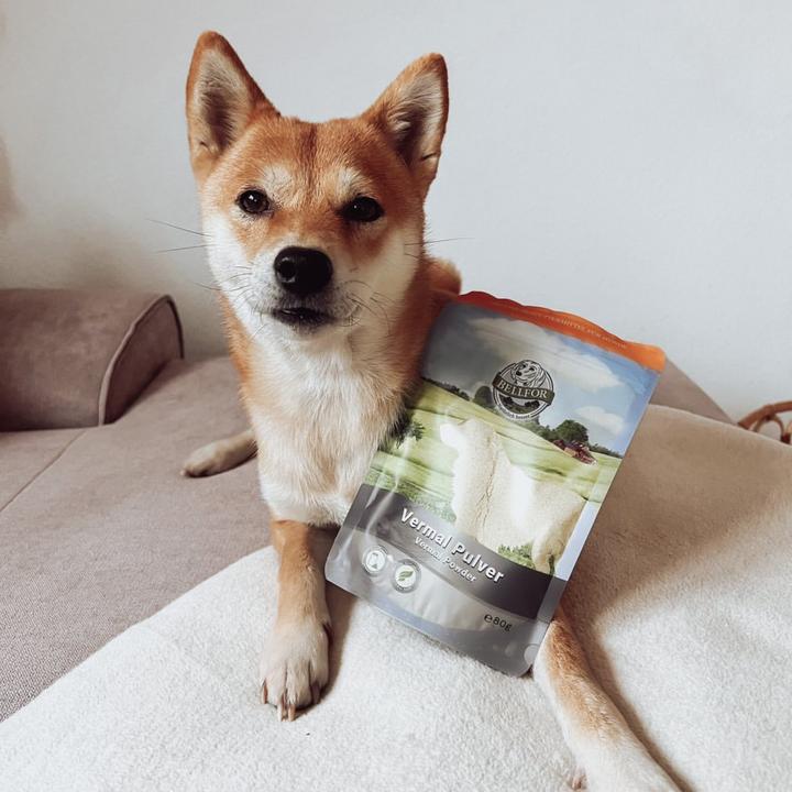 Produktbild Bellfor Hunde-Nahrungsergänzung Vermal – Pulver 250 g (Adult, 1 Stk., 250 g)