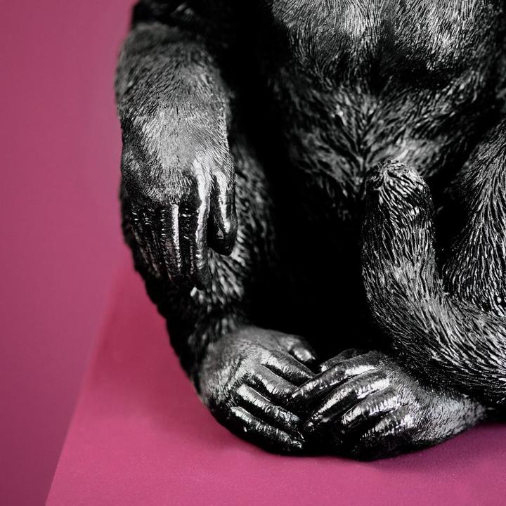 Image du produit Werner Voss Singe Abu (E27)