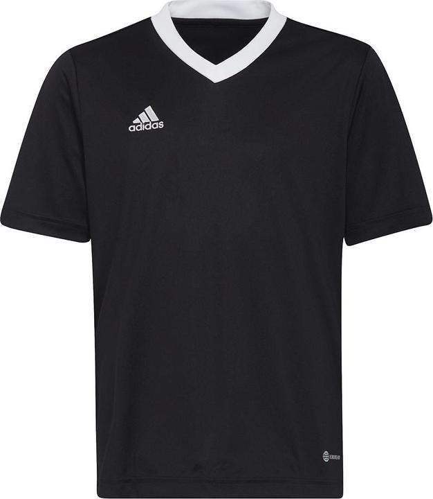 Image du produit adidas Maillot Entrada 22 (152)