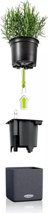 Immagine prodotto Lechuza cubo (14 cm)