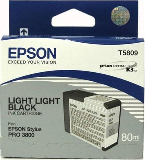 Actual product image Epson T5809 (GY, FC)