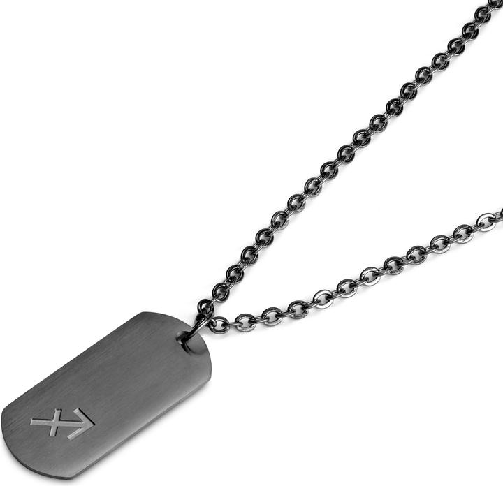 Actual product image Lucleon Zodiac (Stainless steel)