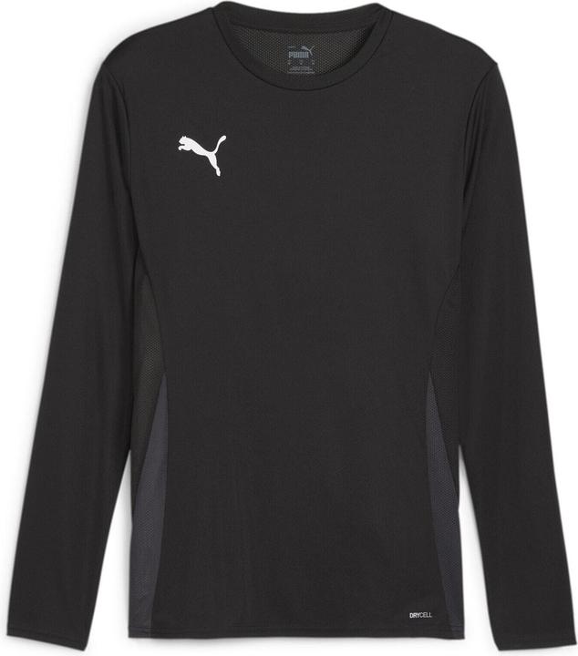 Puma teamGOAL LS Jersey