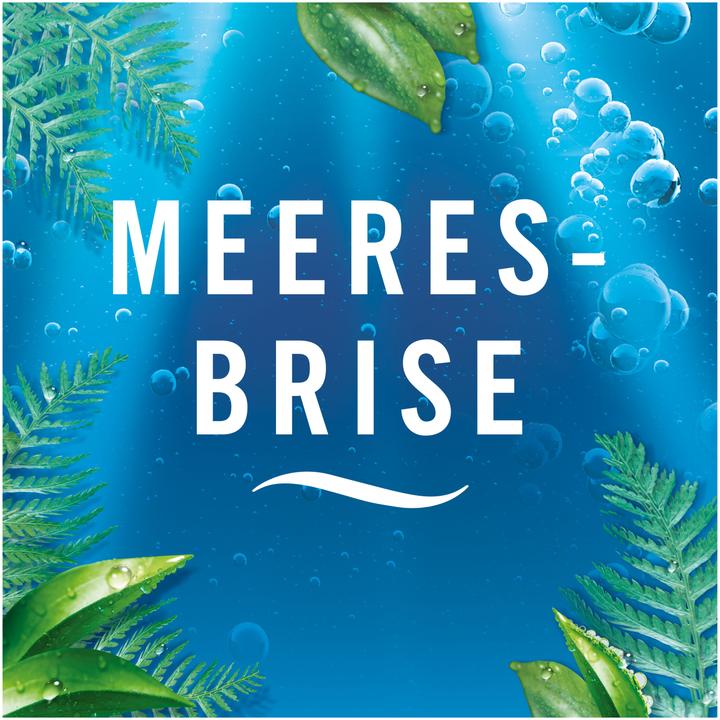 Actual product image Febreze Meeresfrische