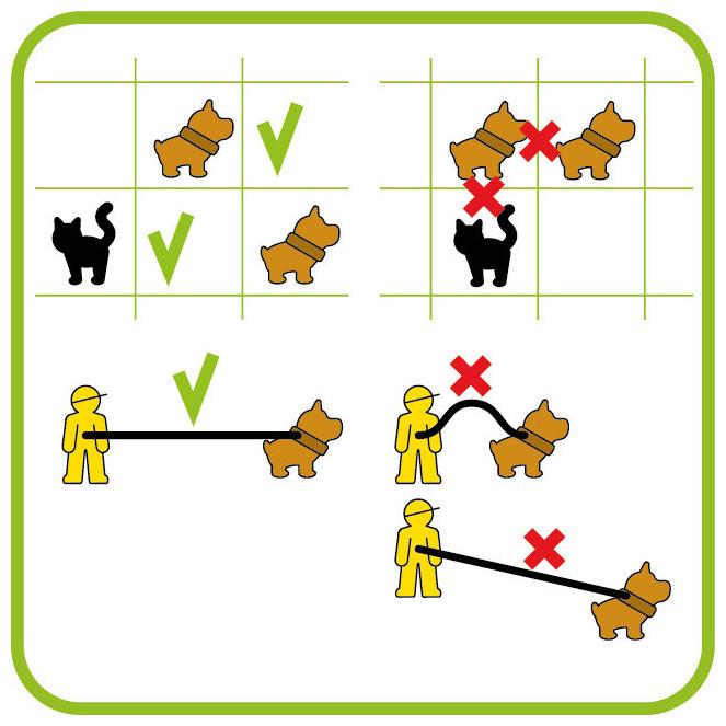 Produktbild Smart Games Walk The Dog (Englisch, Französisch, Italienisch, Deutsch)