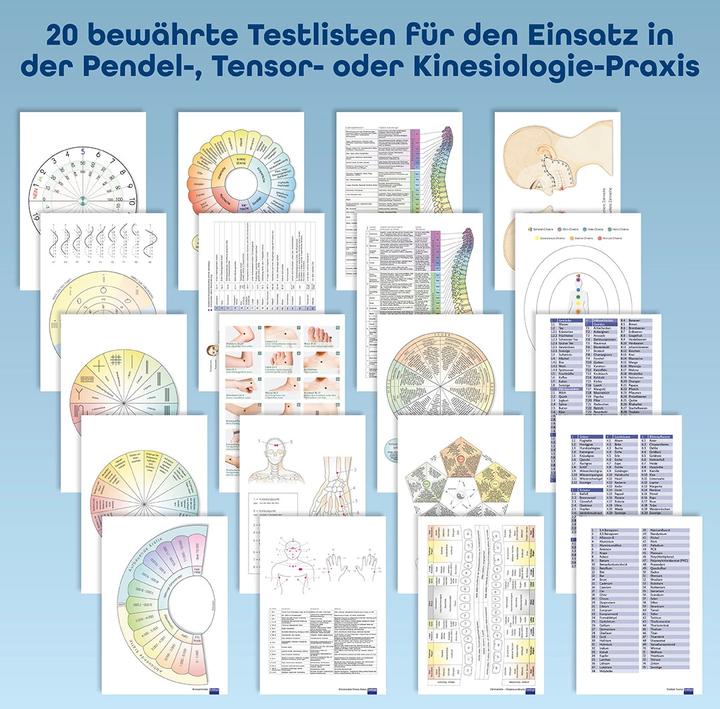 Produktbild Praxisbuch Neue Homöopathie (Deutsch, Roswitha Stark, 2022)