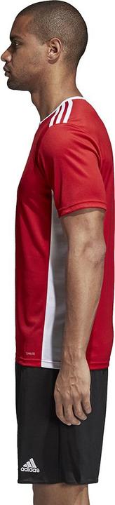 Produktbild adidas Entrada 18 Fussball (128)