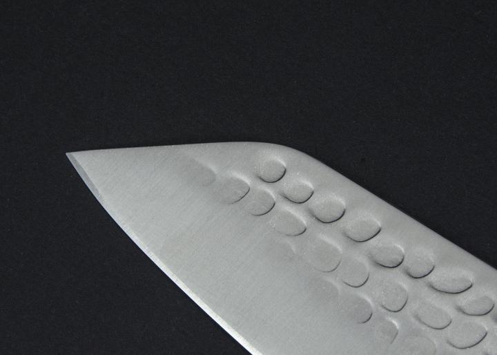 Actual product image Kotai Kiritsuke chef knife (20 cm)
