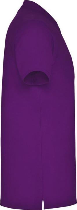 Actual product image Alpinia Mens Star Short-Sleeved Polo Shirt (XXL)