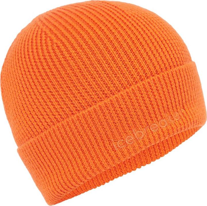 Produktbild Icebreaker Unisex Merino Mer All Day Toque Beanie
