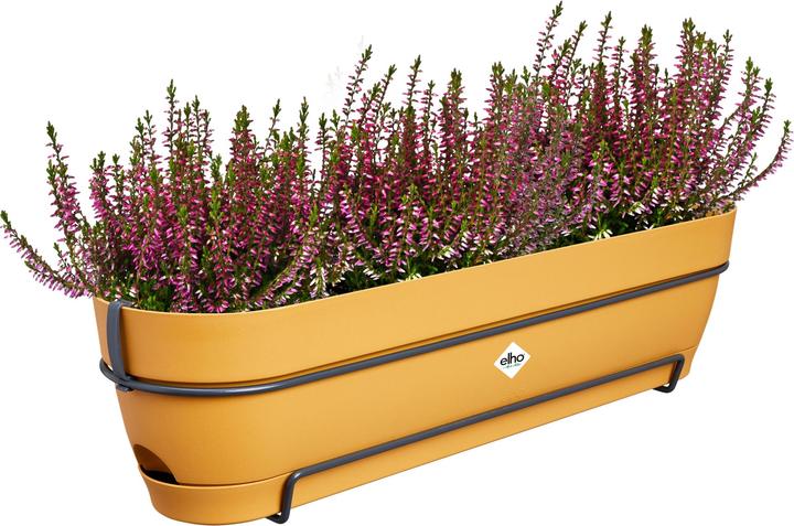 Immagine prodotto Elho Vibia Campana Balcony Box Allin1 (26 cm)