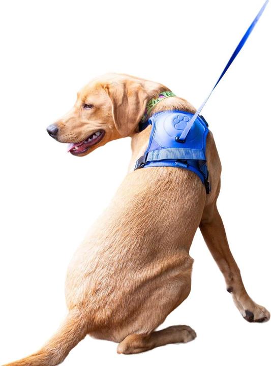 Blu