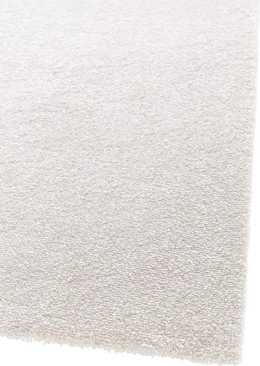 Immagine prodotto Lipo Desiderio (200 x 290 cm)