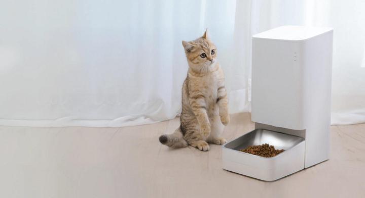 Produktbild Xiaomi Smart Pet Food Feeder (3.60 l)