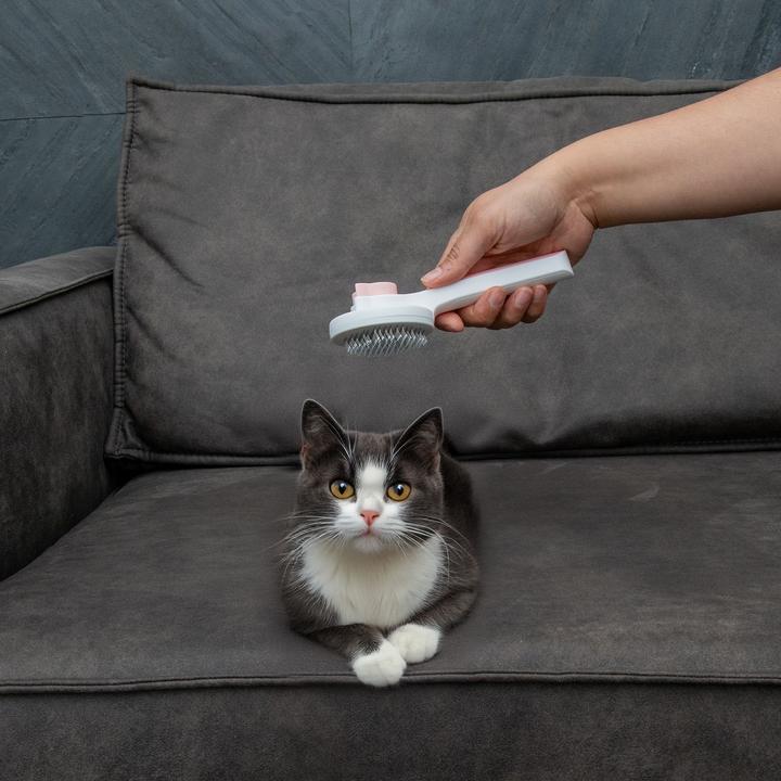 Immagine prodotto Intirilife Spazzola per gatti Spazzola per cani autopulente (Gatto, Cane)