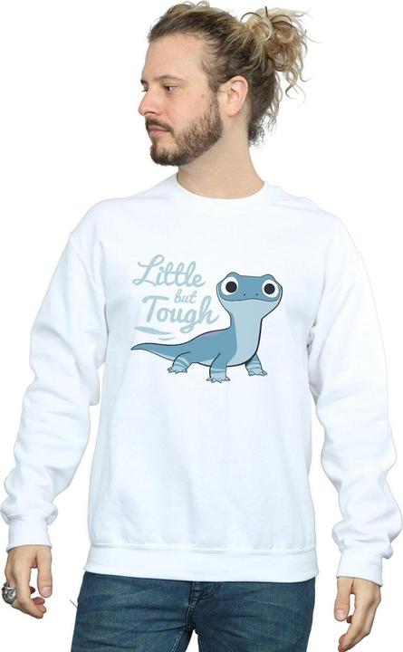 Actual product image Disney Mens Frozen 2 Salamander Bruni Tough Sweatshirt (L)