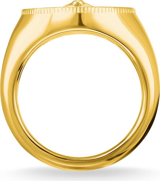 Actual product image Thomas Sabo Ring (54, 925 Silver)