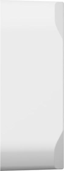 Actual product image Tesla Smart Switch Module Dual