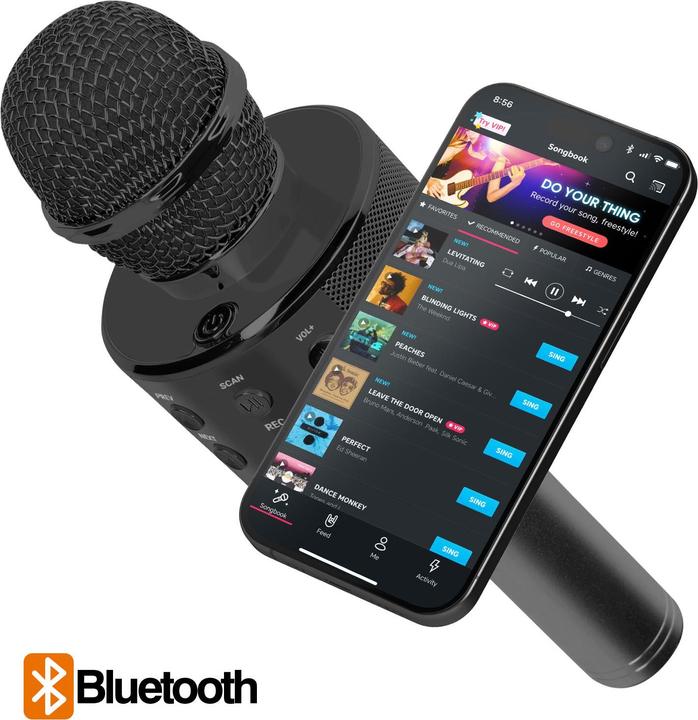 Actual product image Avizar CR58 karaoke microphone