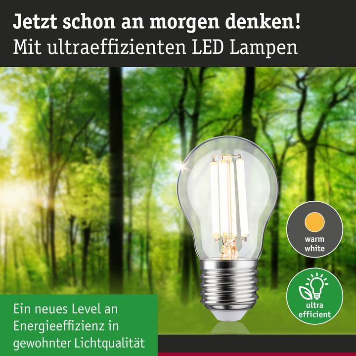 Actual product image Paulmann Tropfen Eco-Line (E27, 4 W, 840 lm, 1 x, A)