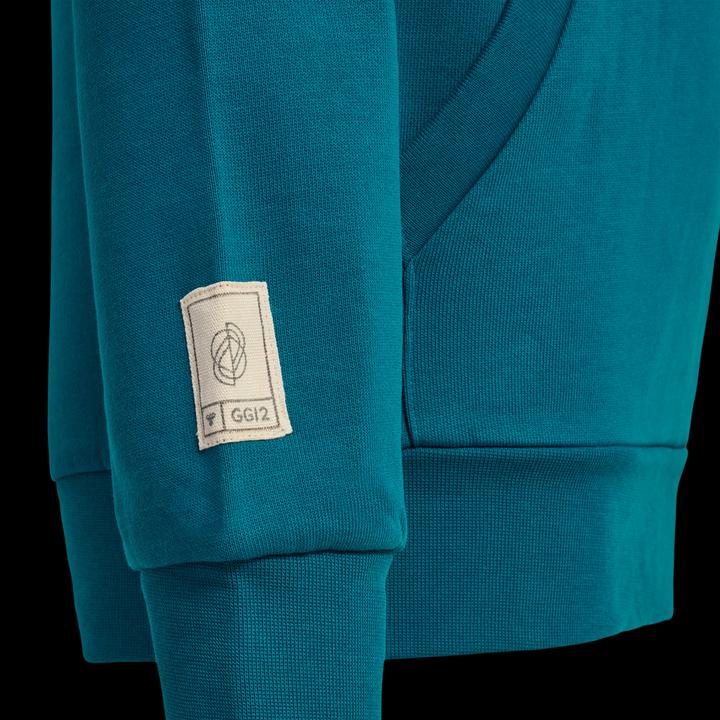 Produktbild hummel Gg12 Sweat Hoodie Kids (116)