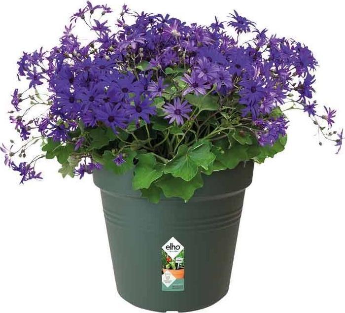 Actual product image Elho Green Basics (13 cm)