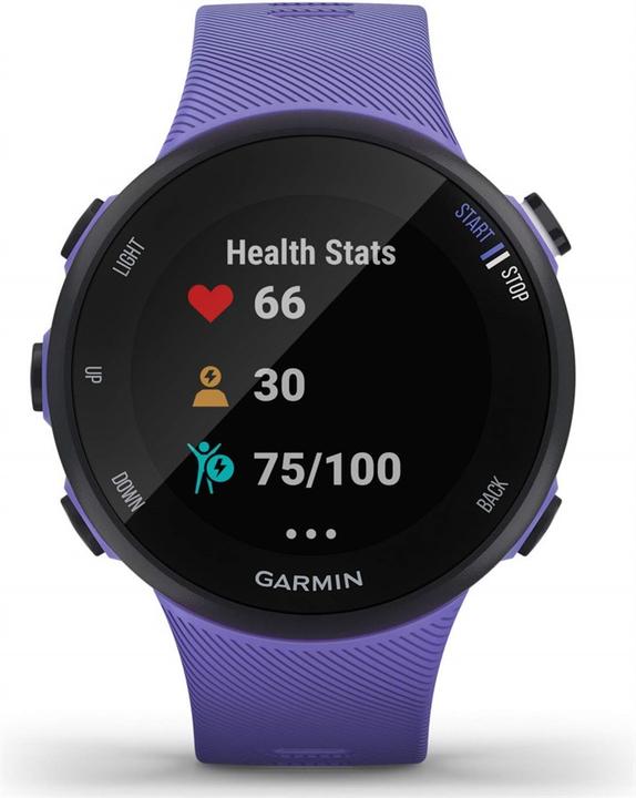 Image du produit Garmin Forerunner 45S (39.50 mm)