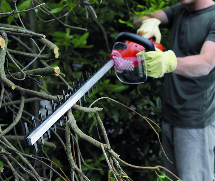 Image du produit Black & Decker Gt7030 (Taille-haie électrique)
