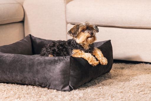 Actual product image Designed by Lotte Ribbed divan bed (Dog)