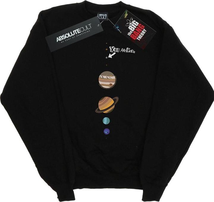Produktbild Dam You Are Here Sweatshirt (S)
