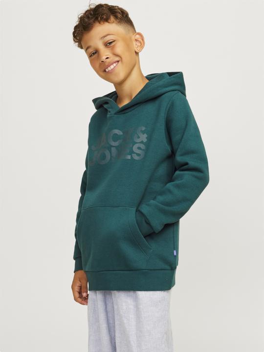 Actual product image Jack & Jones Jjecorp Logo Sweat Hood Noos Jnr (164)