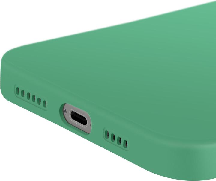 Image du produit Avizar SoftGlow Case (Apple iPhone 16 Pro Max)