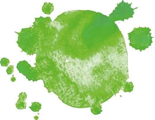 Immagine prodotto Pentel Penna a pennello (Verde, 1 x)