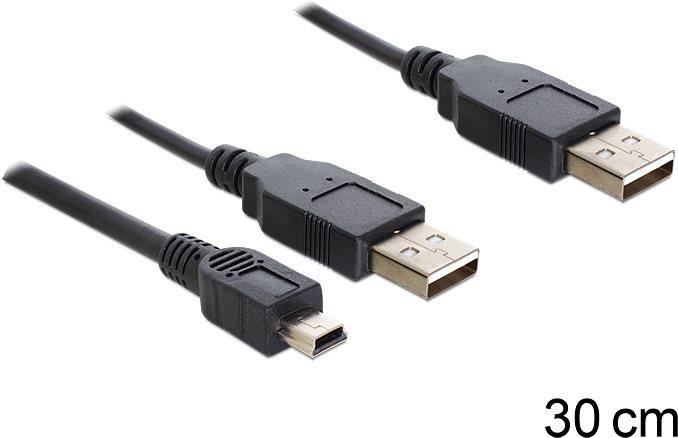 Image du produit Delock 2 x USB-A - USB mini 5 broches (0.30 m, USB 2.0)