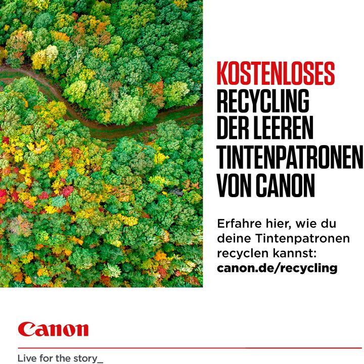 Produktbild Canon CL-541/PG-540 Multipack (BK, Color)