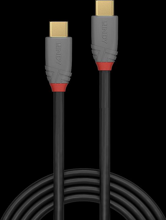 Immagine prodotto Lindy Anthra Line (1 m, USB 3.1)