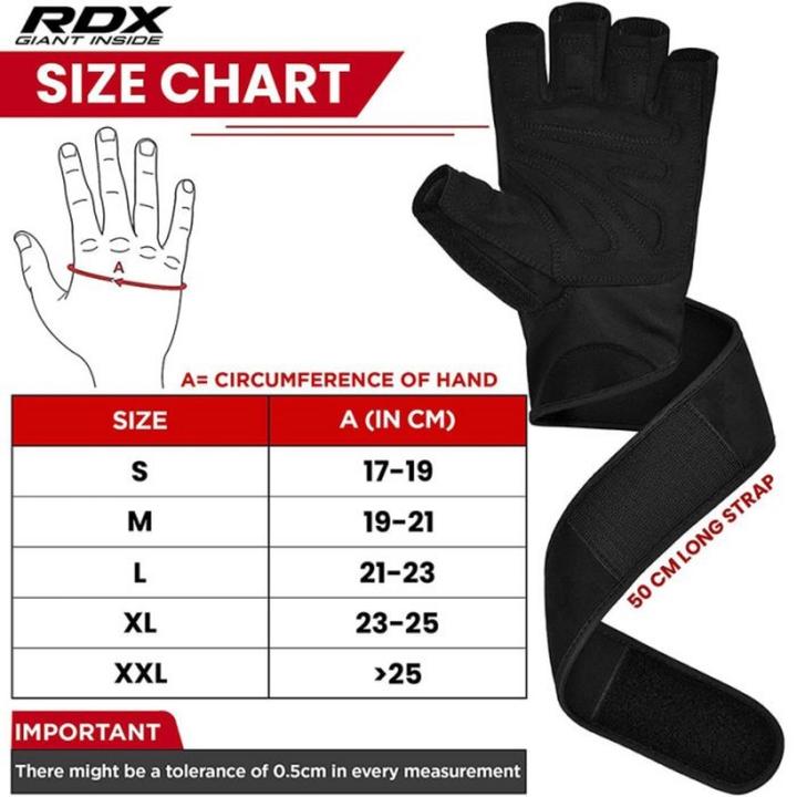 Produktbild Rdx L4 Offene Finger Gewichtheber Gymhandschuhe (S)