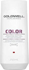 Produktbild Goldwell Dualsenses Color Brilliance Shampoo (250 ml, Flüssiges Shampoo)