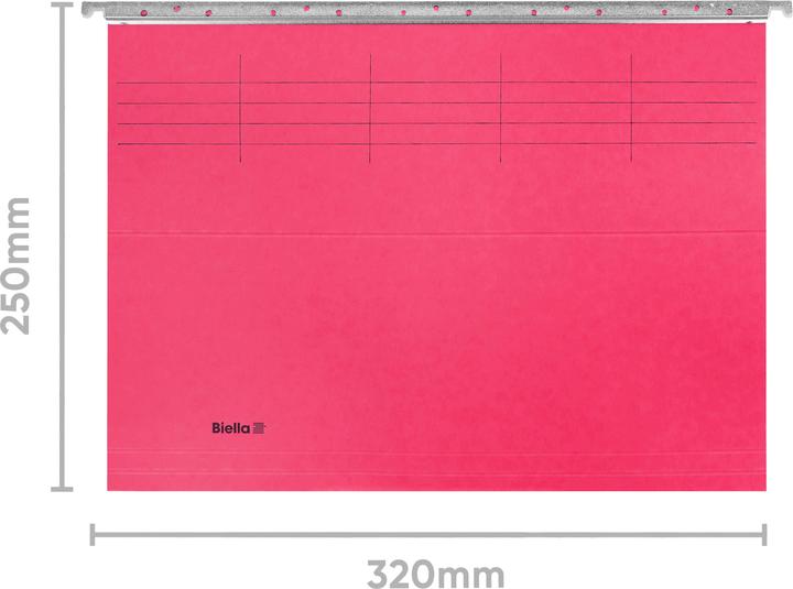 Actual product image Biella Suspension file (A4, 1 x)