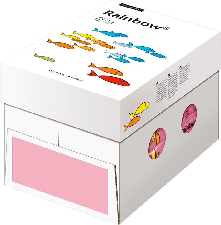 Actual product image Rainbow paper (80 g/m², 500 x, A4)