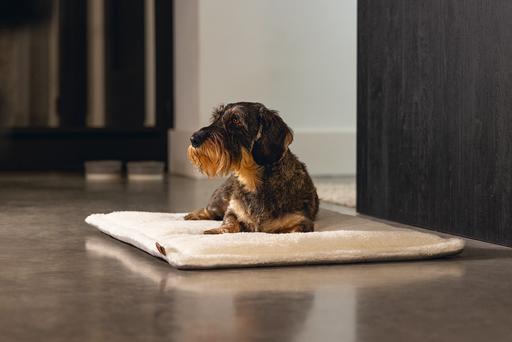 Productafbeelding Designed by Lotte Ligkussen Nalino (Hond)
