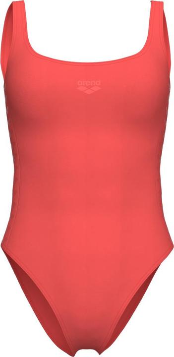 Arena W Team Stripe Swimsuit U Back